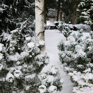 Meet your Posher, Ithaca